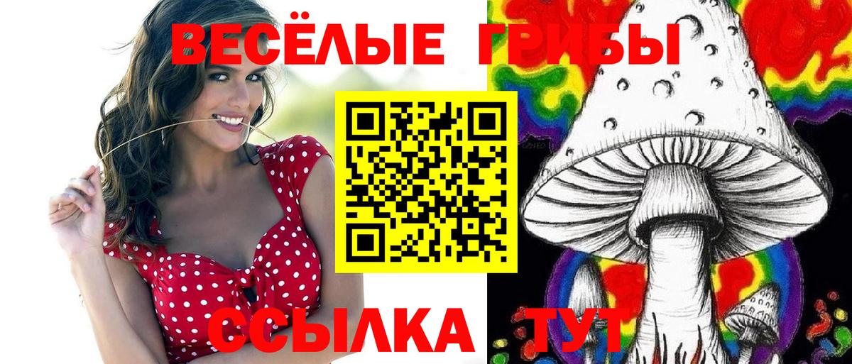 Вятские Поляны  Галлюциногенные грибы мицелий  Псилоцибиновые грибы прущие грибы  Вход с VPN 