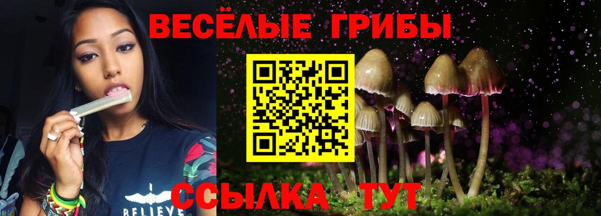 Гашик  МЕТ  Alpha-PVP  МАРИХУАНА  Вятские Поляны  КОКАИН  Вход с VPN  ГАШ  Мефедрон  МДМА  Купить наркотик 