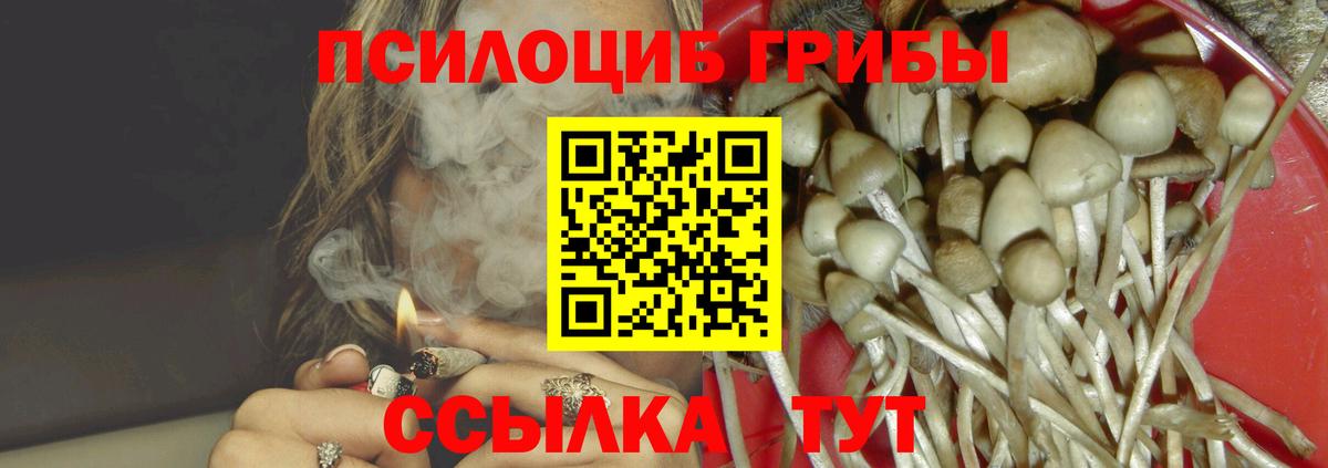 купить закладку  Галлюциногенные грибы Psilocybe  Вятские Поляны  Галлюциногенные грибы прущие грибы 